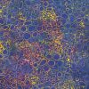 Great barrier reef Batik fabric